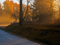 Зверски избитого обнаженного молодого человека в луже крови обнаружили дети у дороги в Унгенах