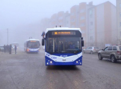 В Дурлештах население вышло требовать порядка с графиком общественного транспорта