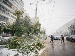 20 апреля 2017 - знаменитый апрельский снегопад