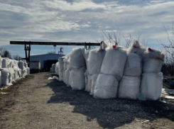 Полиция выявила факт отмывания денег на химикатах на сумму 144 млн леев