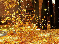 Ураганный ветер обрушится на Молдову в четверг: объявлен желтый код метеоопасности 