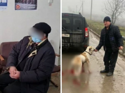 «Я больше не буду». Мужчину-живодера из Трушен вызвали в полицию, и он не смог внятно объяснить причины своего жестокого отношения к собаке