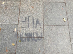 Смелые одесситы наглядно показали, что члены УПА - убийцы 