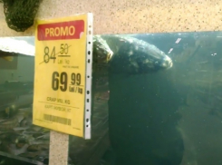 В столичном супермаркете в аквариуме держат мертвую рыбу