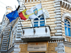 Комиссия МСК под руководством либералов поддержала проведение референдума за отставку Киртоакэ 