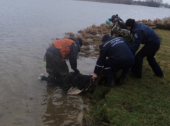 Загадочно исчезнувшего на рыбалке жителя Тирасполя обнаружили мертвым в Днестре