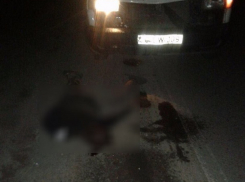 Смертельный наезд на мужчину и женщину совершил молодой водитель на Ботанике