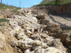 «Шерсть вместо асфальта» - «ноу-хау» от дорожников в Хынчештском районе