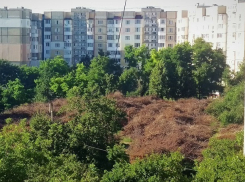 Жители Ботаники потребовали вывезти из района сухие ветки: «Нам стадион нужен, а не пожар!»