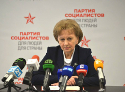 Приоритеты ПСРМ на 2017 год: реинтеграция страны, поддержка диаспоры, международное сотрудничество