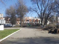 У ДК железнодорожников на Ботанике неизвестные пилят деревья