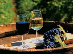 На праздновании Дня вина можно будет пройти тест на содержание алкоголя