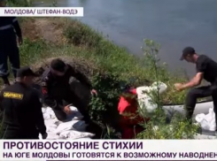 В Штефан-Водэ укрепляют защитную дамбу от наводнения