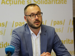 Переписка моя, но в отставку не подам. Литвиненко 