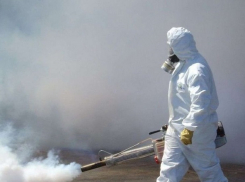 В муниципальном жилищном фонде начинаются работы по дезинсекции