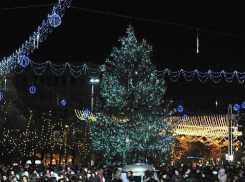 Удивленная Сильвия Раду потребовала у Нистора Грозаву объяснения, «почему у нас две новогодние елки»