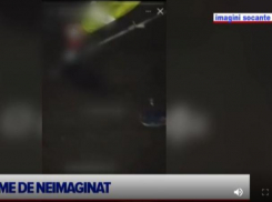 Три хынчештских выродка ради забавы сожгли живую кошку