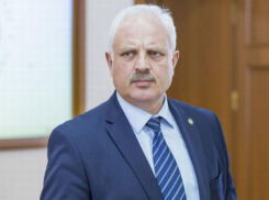 Василе Шова возвращается на государственную должность