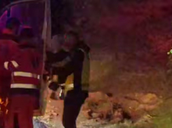 Десятки человек искали вчера ночью пропавшую в лесу маленькую девочку