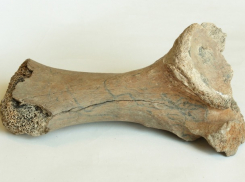 Археологи исследуют стоянку древних охотников в одном из молдавских сел