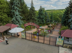 Предупреждали, но не остановили: руководство зоопарка озвучило свою версию после происшествия с ребенком