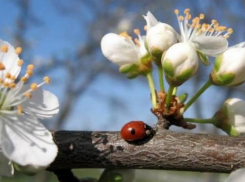 В среду в Молдове будет пасмурно