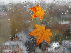 В воскресенье в Молдове будет пасмурно и ветрено 