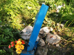 Разгром кладбища пьяными выпускниками на угнанном автобусе сняли на видео