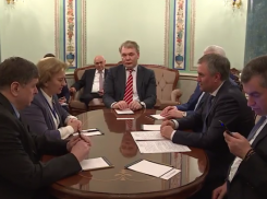 Зинаида Гречаный встретилась с председателем Госдумы РФ