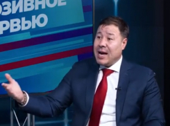 Цырдя: так называемое гражданское общество продвигает интересы правых партий