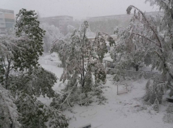 Кишинев - как после бомбежки: обломаны деревья, оборваны провода, транспорт не ходит
