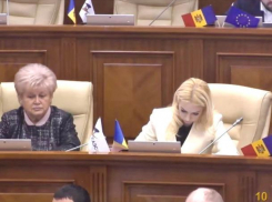 Флаги ЕАЭС в Парламенте — акция оппозиции