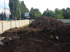 Быть ли заправке в зеленой зоне Кишинева - пока все остановлено