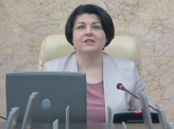 Гаврилица разнесла членов правительства из-за незапущенного сайта о дровах