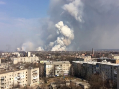 По молдавскому ли паспорту «Петров и Боширов взрывают Украину»