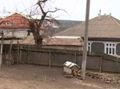 Малолетние воры держат в страхе целое село в Теленештском районе