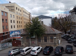 В центре Кишинева на крыше дома выросло дерево