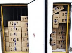 ANSA уничтожило 1682 кг зараженного мороженого 