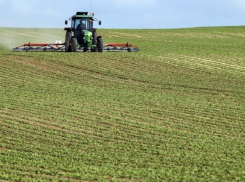 15% земли Молдовы уже было продано иностранцам