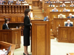 Депутат усомнился, что PAS способна что-то решать без консультаций с послом США