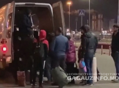 Пока официальные компании ждут разрешений от Комиссии по ЧС, нелегальные перевозчики не дремлют