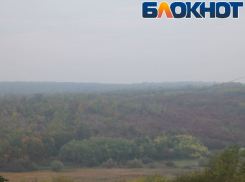 Весна вступает в свои права, но завтра пойдет дождь