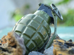 Двое детей нашли в озере в Бельцах патроны и гранату