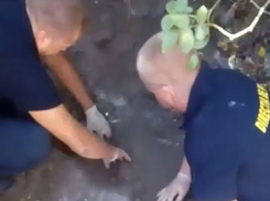 Уставший от одиночества мужчина совершил изощренное самоубийство в Ниспоренском районе