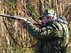 Сбор кукурузы закончился для крестьянина огнестрельной раной