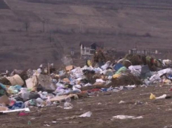 В Данченах свалка постепенно подбирается вплотную к домам людей