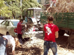 Молодежь Кишинева, не дождавшись Киртоакэ, своими руками навела порядок в нескольких дворах