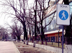 В Кишиневе решили обустроить еще одну пешеходную зону