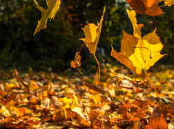 Понедельник в Молдове будет дождливым 
