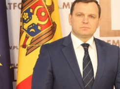 Плахотнюк не вернется, так как знает, что на него наденут наручники, - Нэстасе